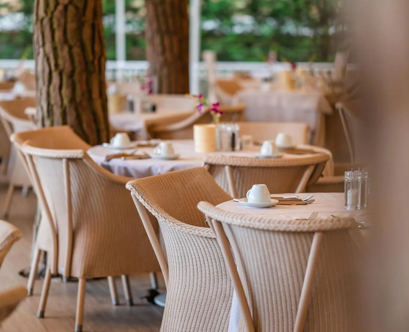 Park Hotel Maracaibo Lido di Jesolo 4*,